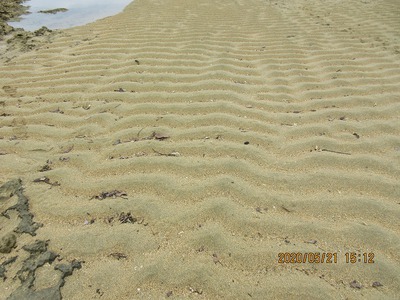 砂紋